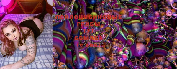 амф Заволжье
