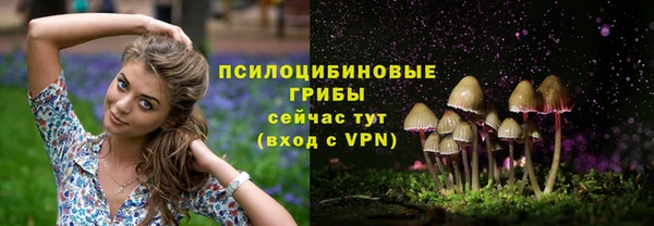 меф Заволжск