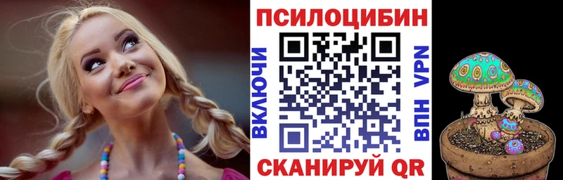 Псилоцибиновые грибы мицелий  Купить  Большой Камень 